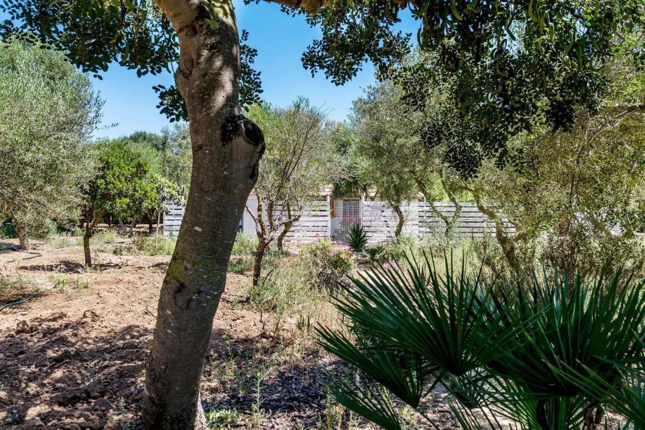 Casita-Estudio El Castano 埃尔帕尔马 外观 照片